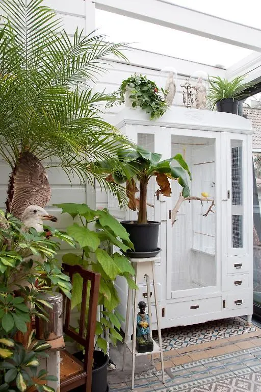 B&B De Witte Nijl Antwerp 0*,  Belgium