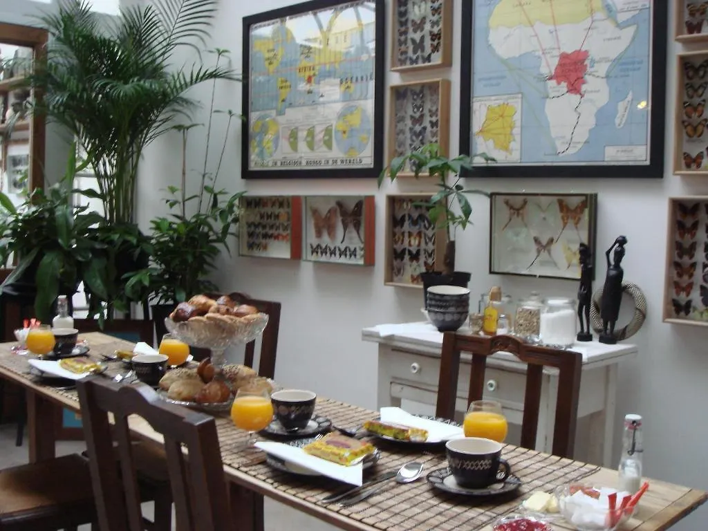 B&B De Witte Nijl Antwerp